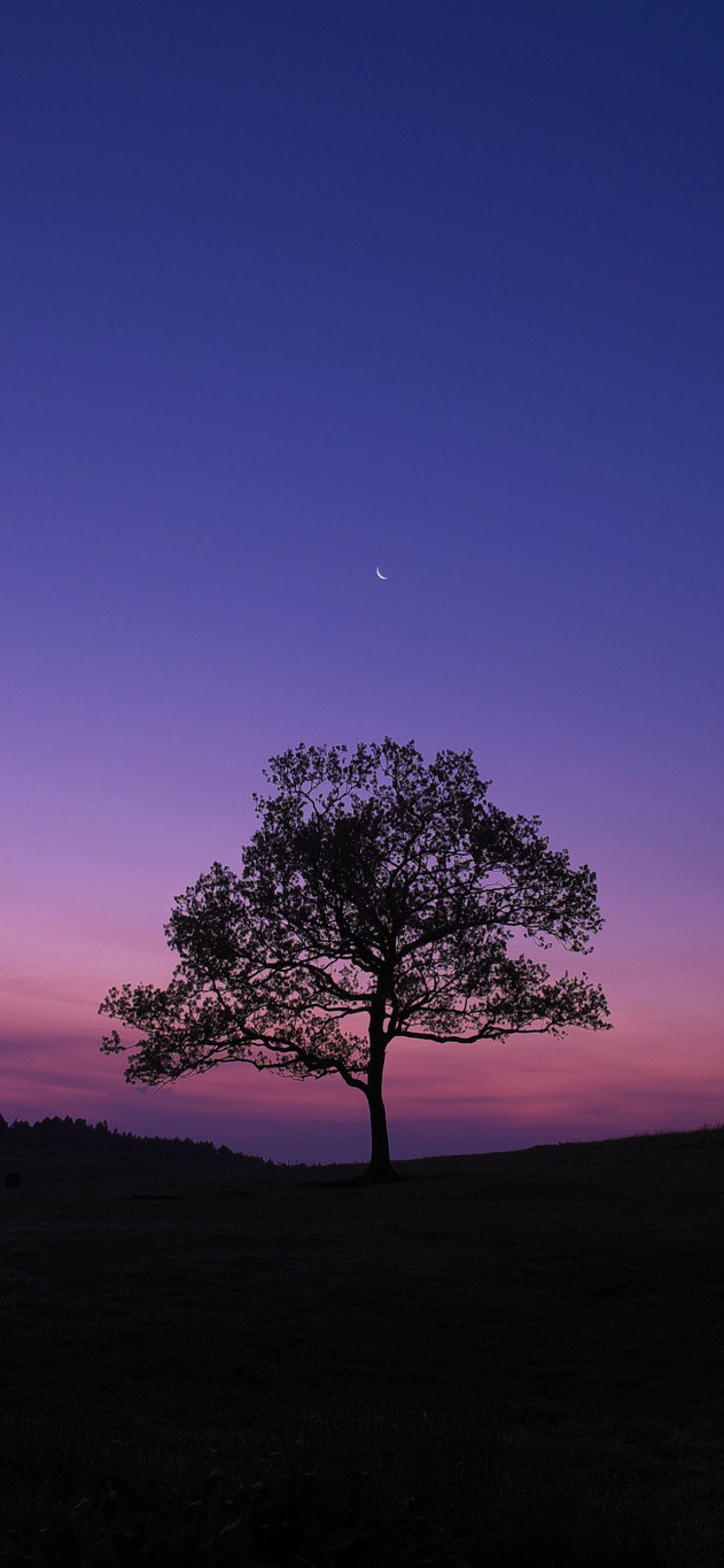 Moon Purple Sky Wallpapers