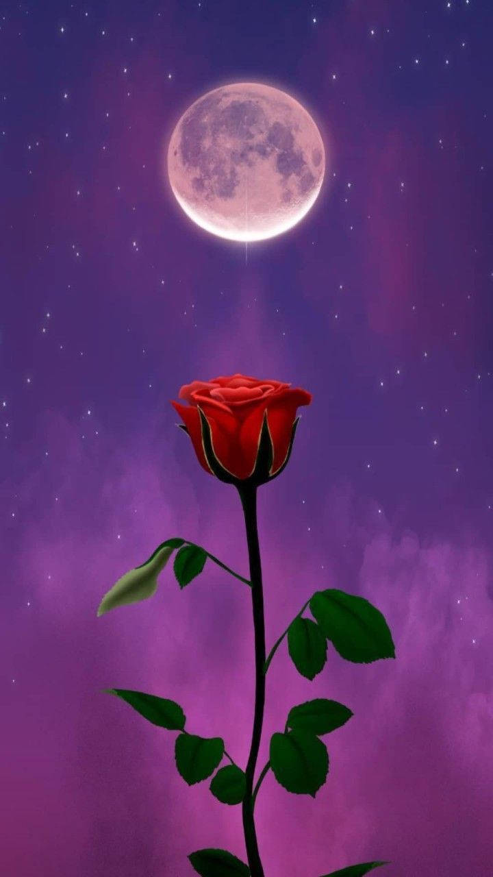 Moon Purple Sky Wallpapers