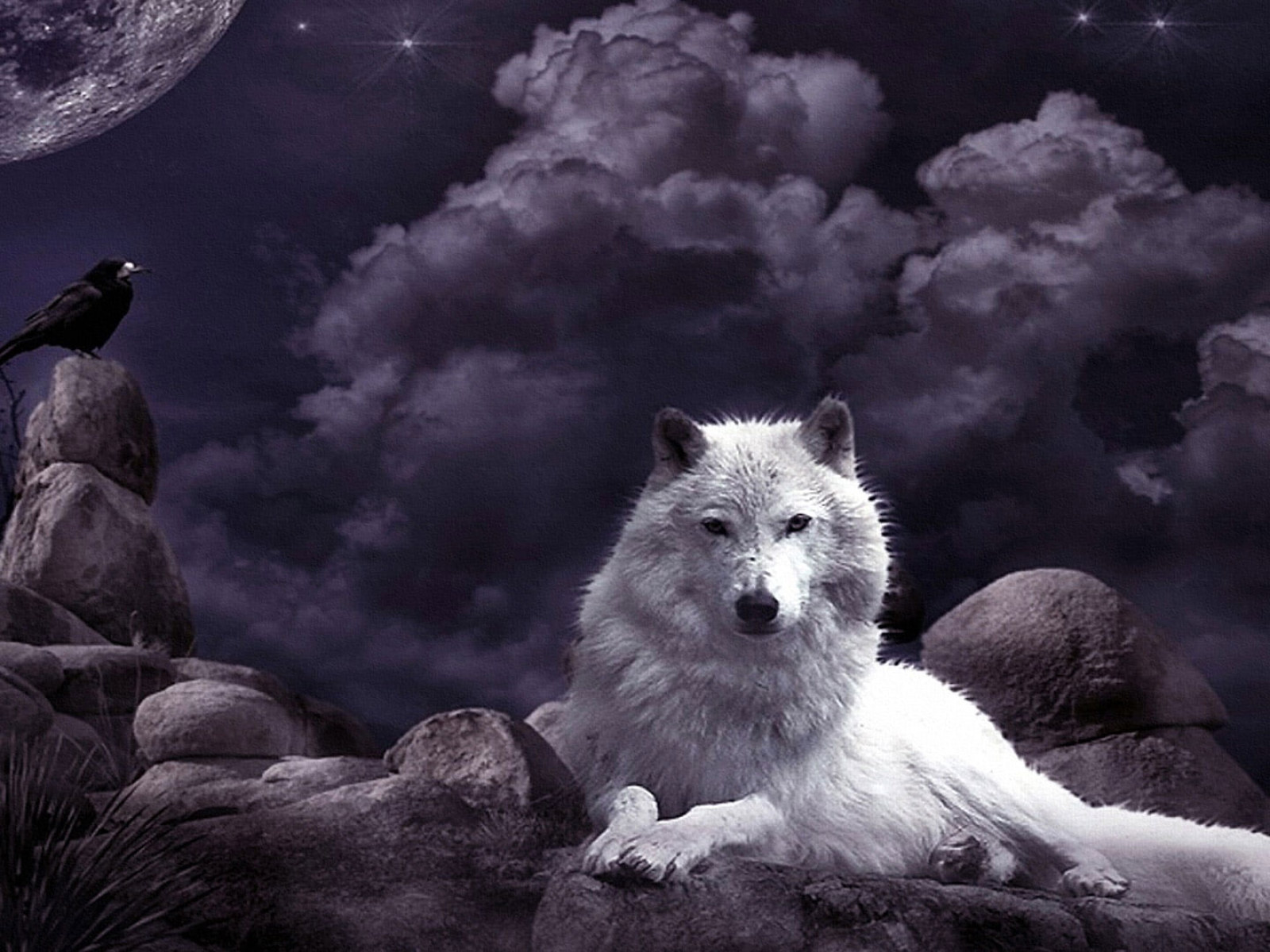 Moon Wolf Wallpapers