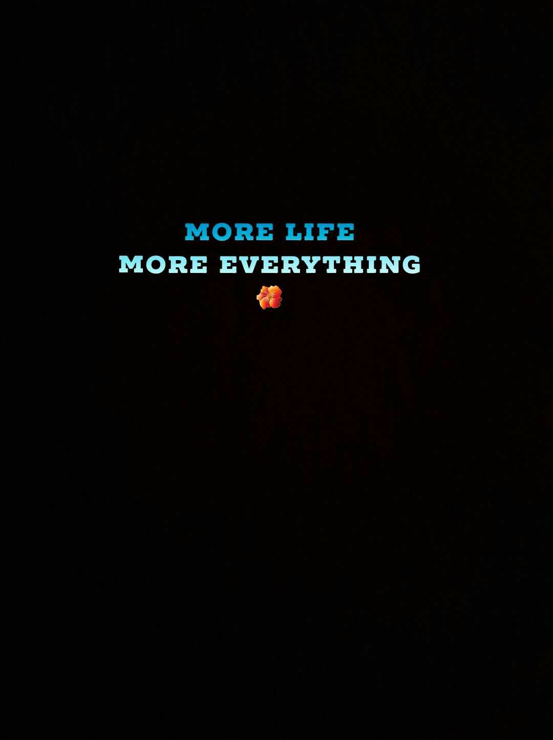 More Life Wallpapers