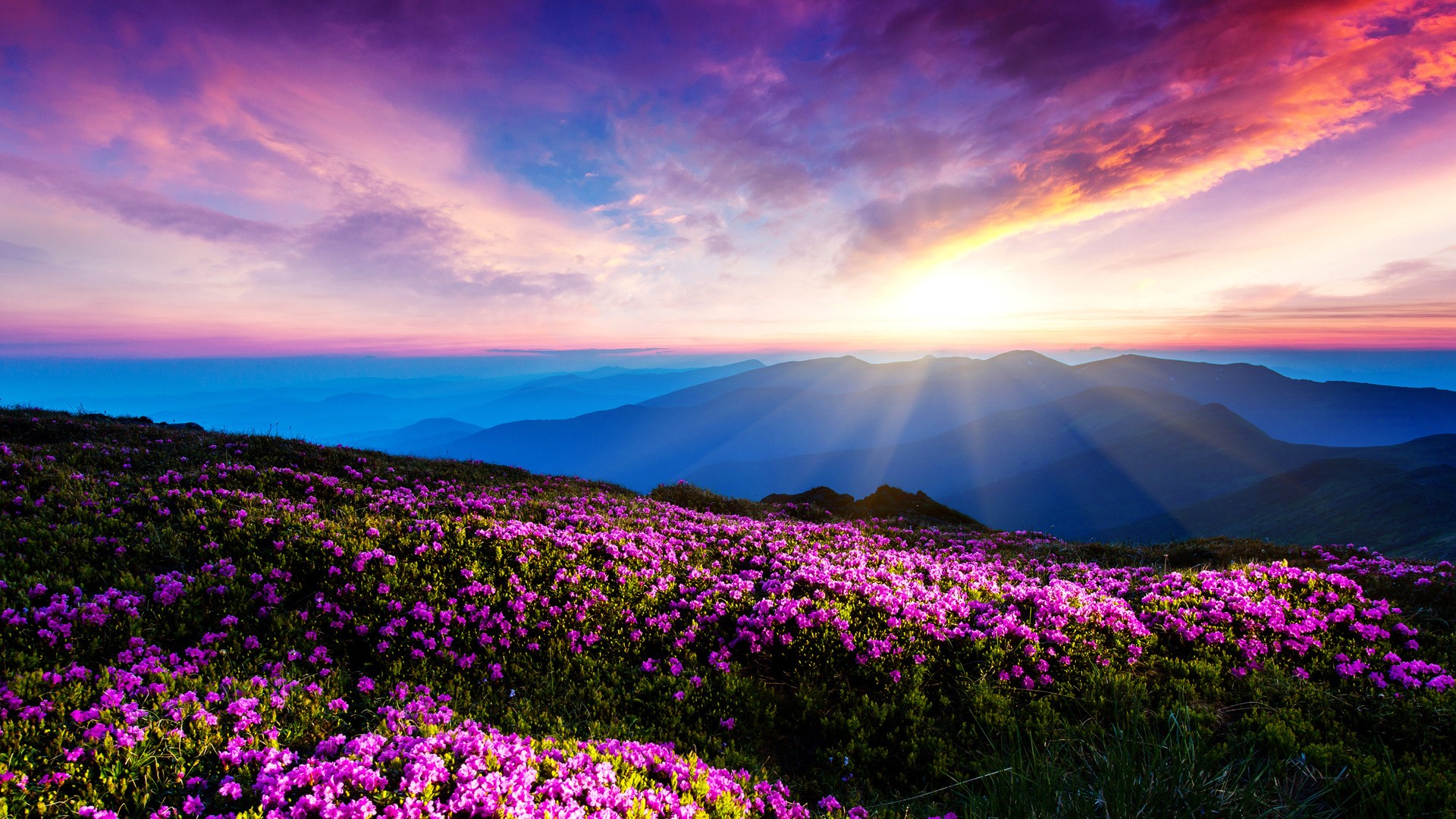 Mountain And Sun Wallpapers