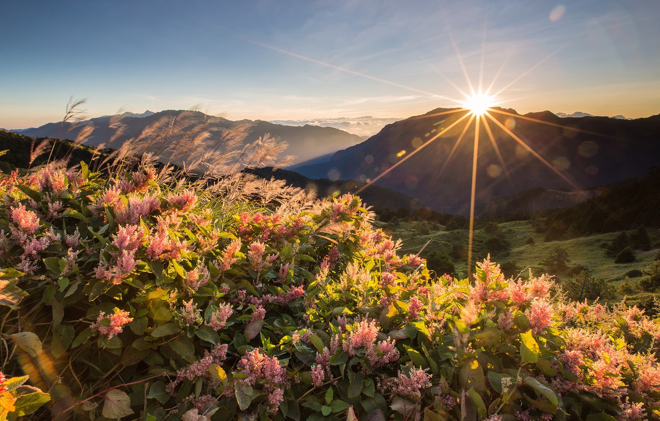 Mountain And Sun Wallpapers