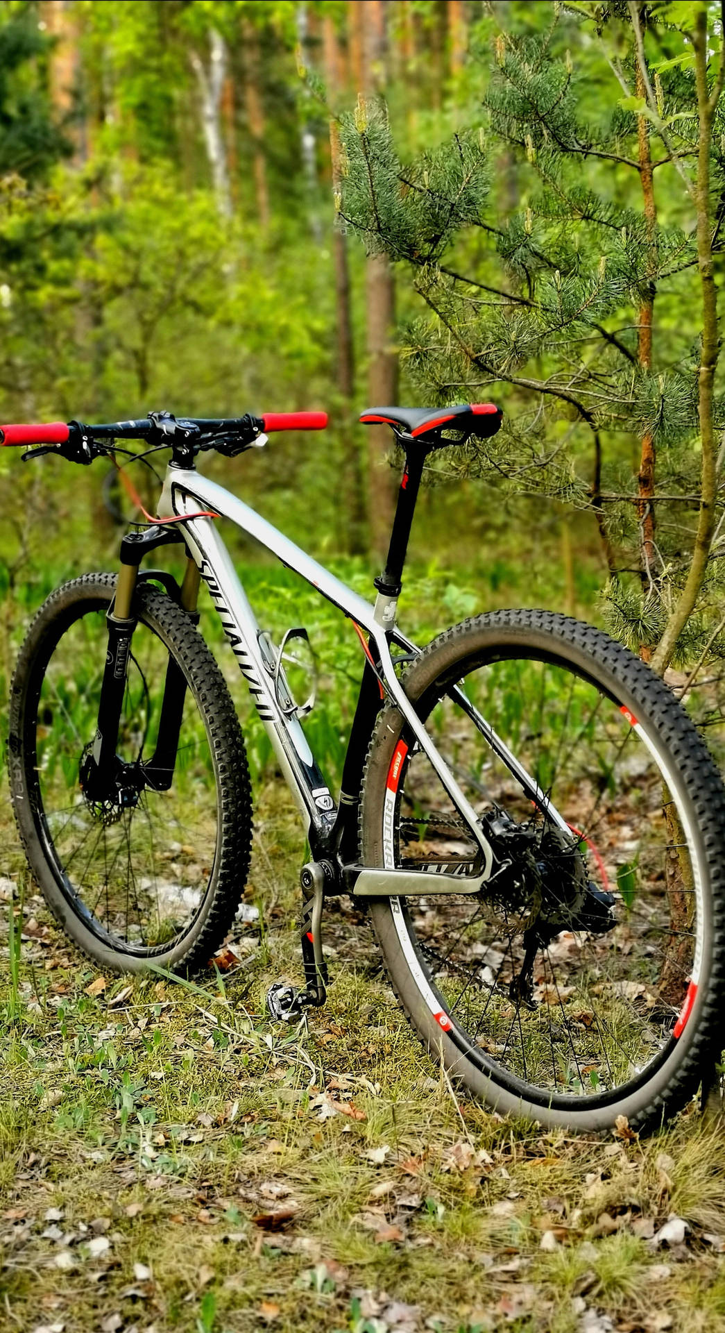 Mountain Bike Wallpapers