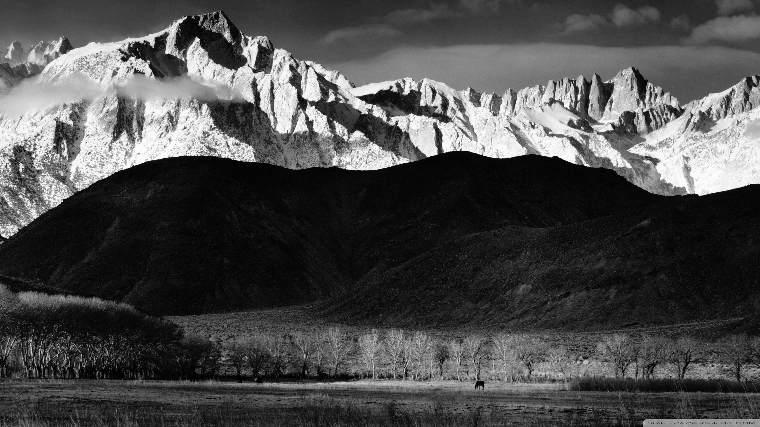 Mountains Black And White Wallpapers