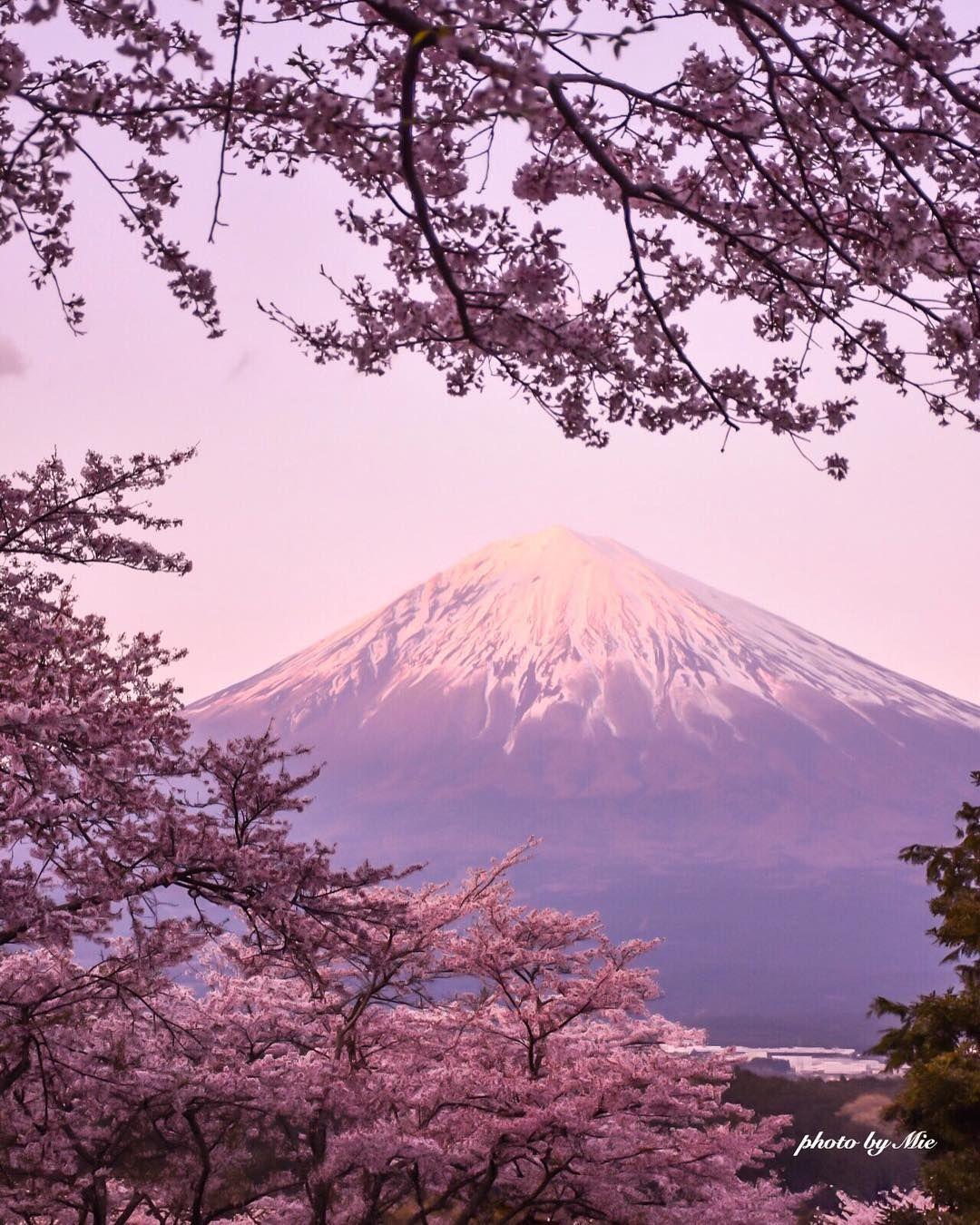 Mt Fuji Wallpapers