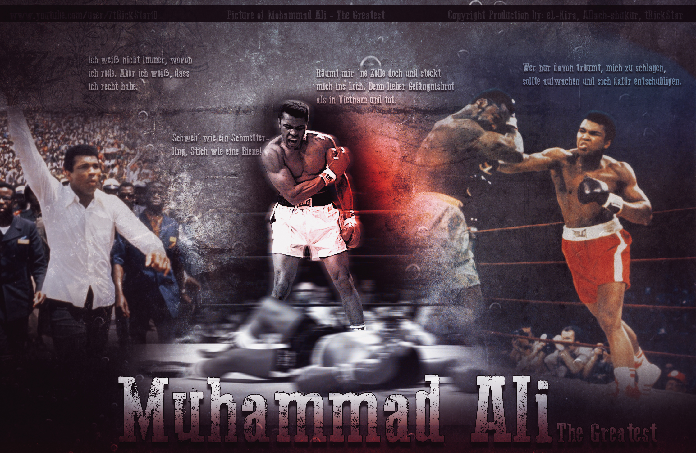 Muhamed Ali Wallpapers