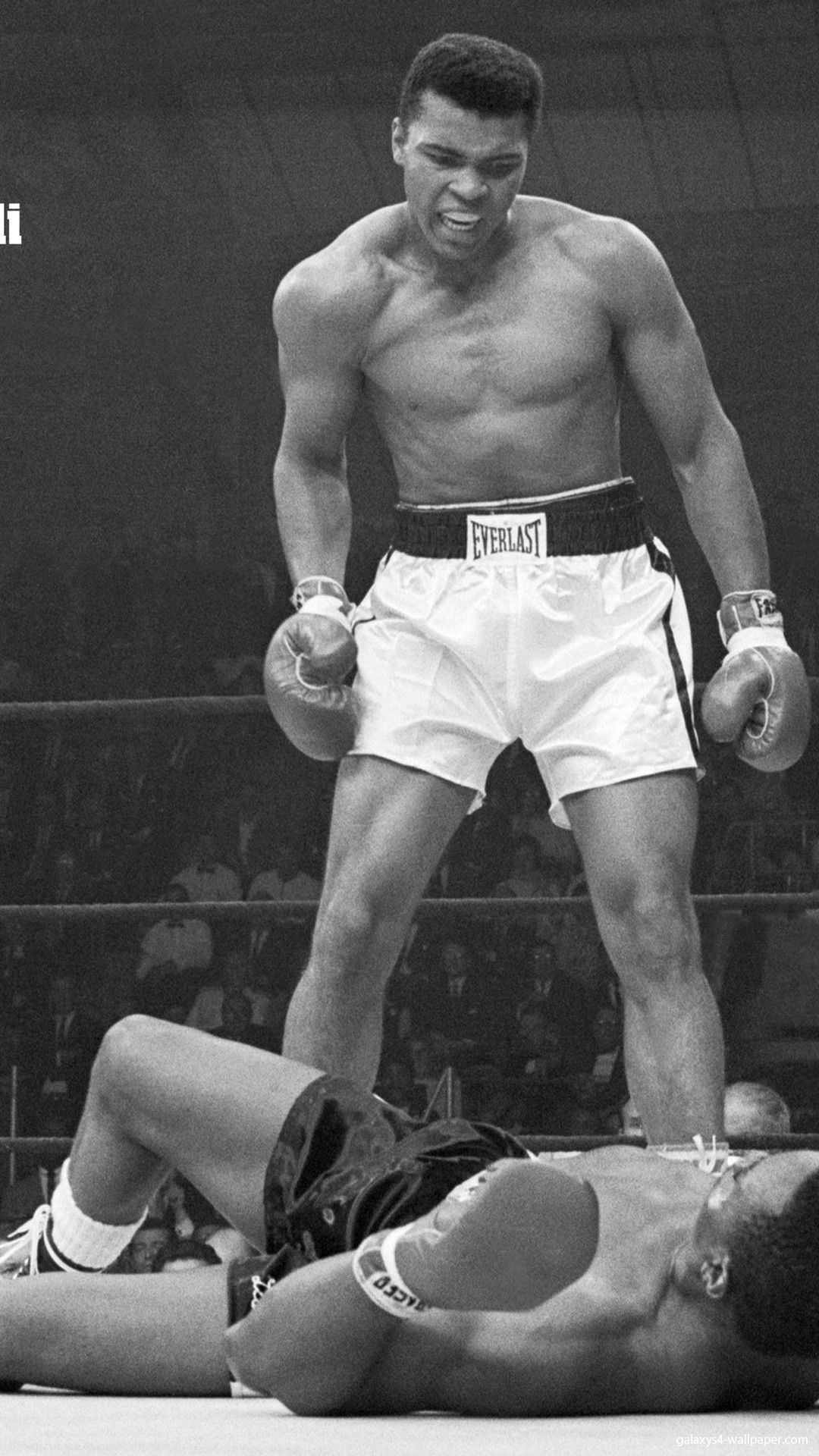 Muhammad Ali Iphone Wallpapers