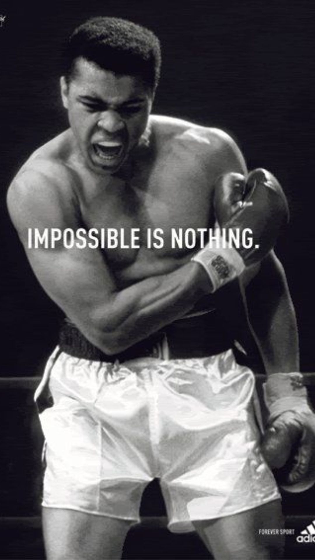 Muhammad Ali Iphone Wallpapers