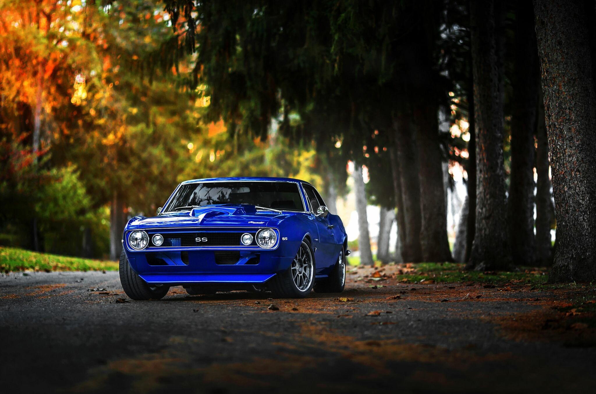 Muscle Car 4K Wallpapers