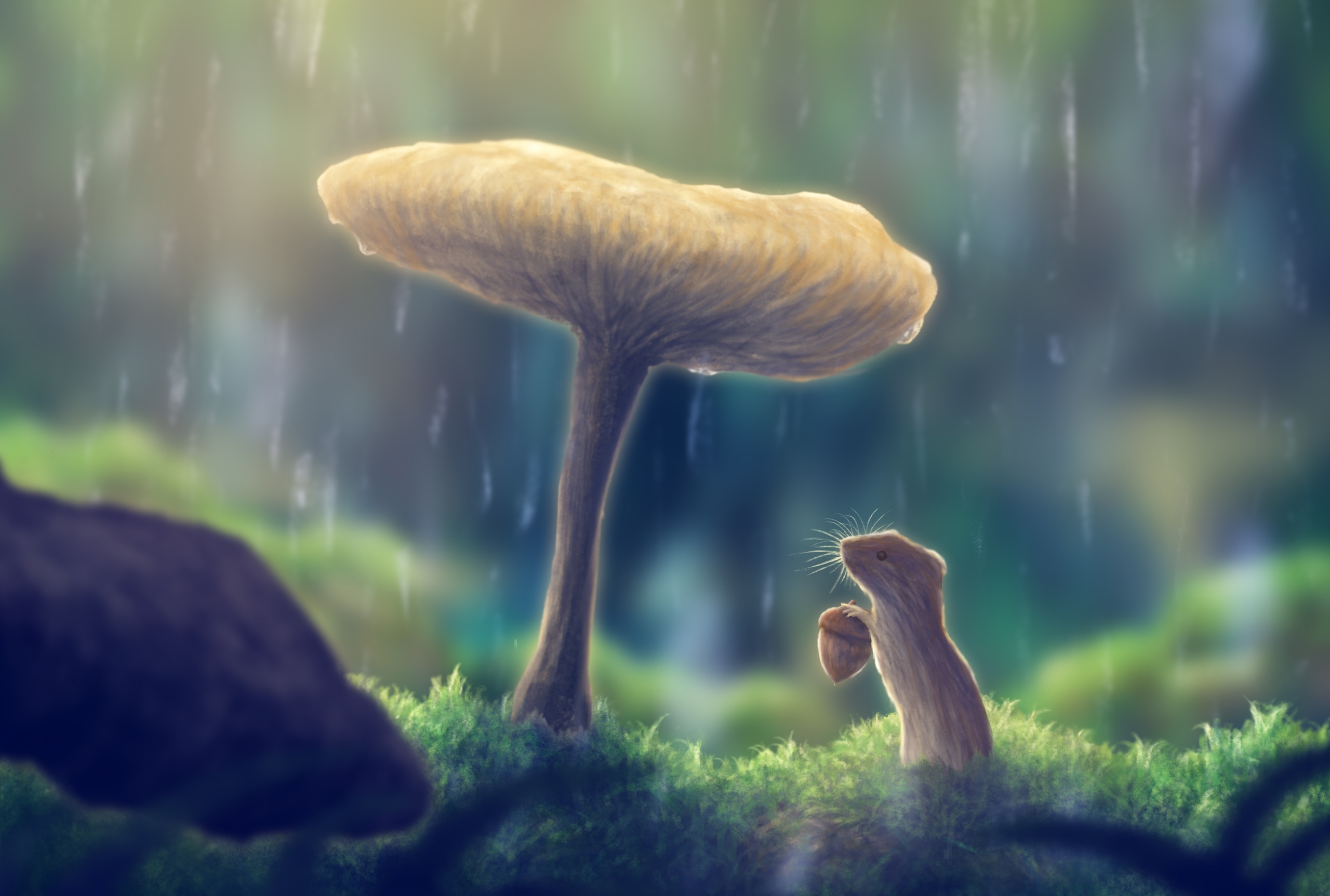 Mushroom Landscape Wallpapers