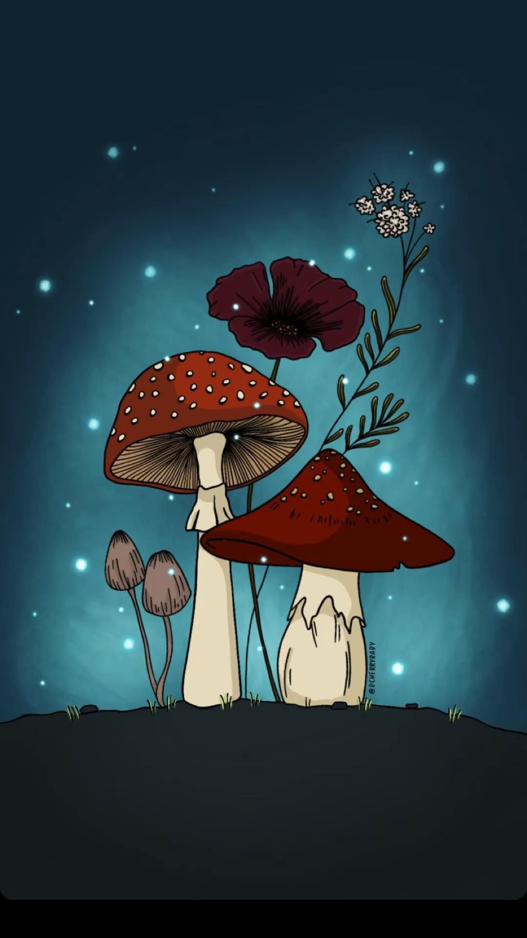 Mushroom Aesthetic Wallpapers