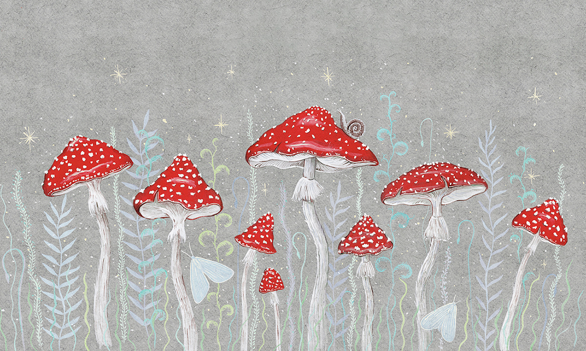 Mushroom Aesthetic Wallpapers