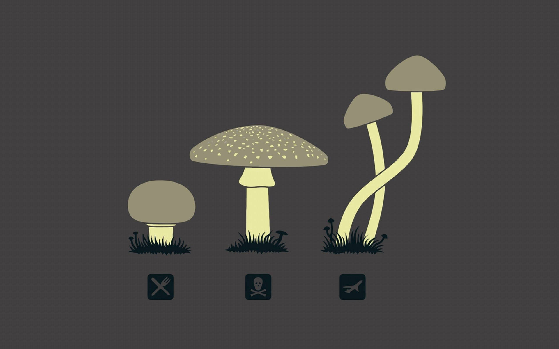 Mushroom Aesthetic Wallpapers