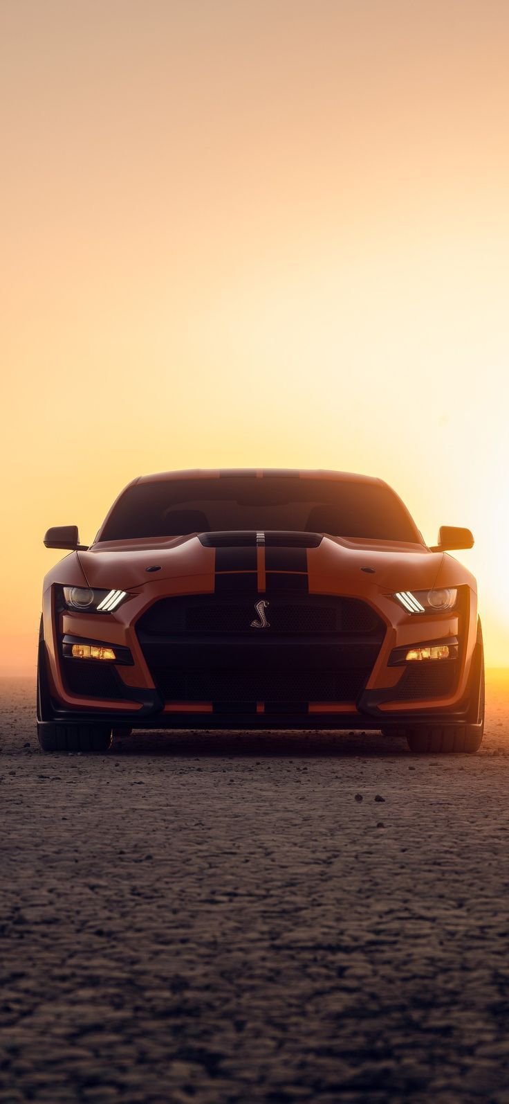 Mustang Gt500 Wallpapers