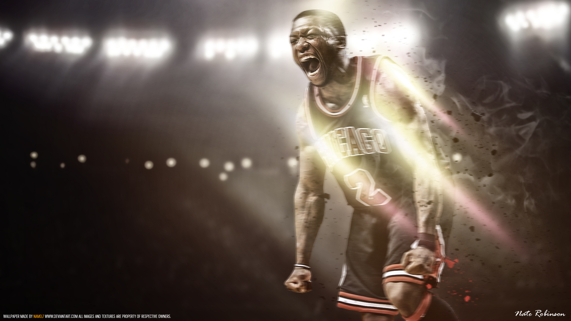 Nate Robinson Wallpapers