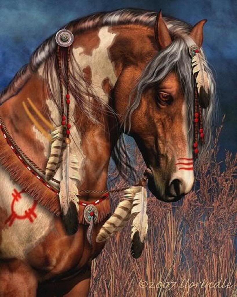 Native American Horse Wallpapers