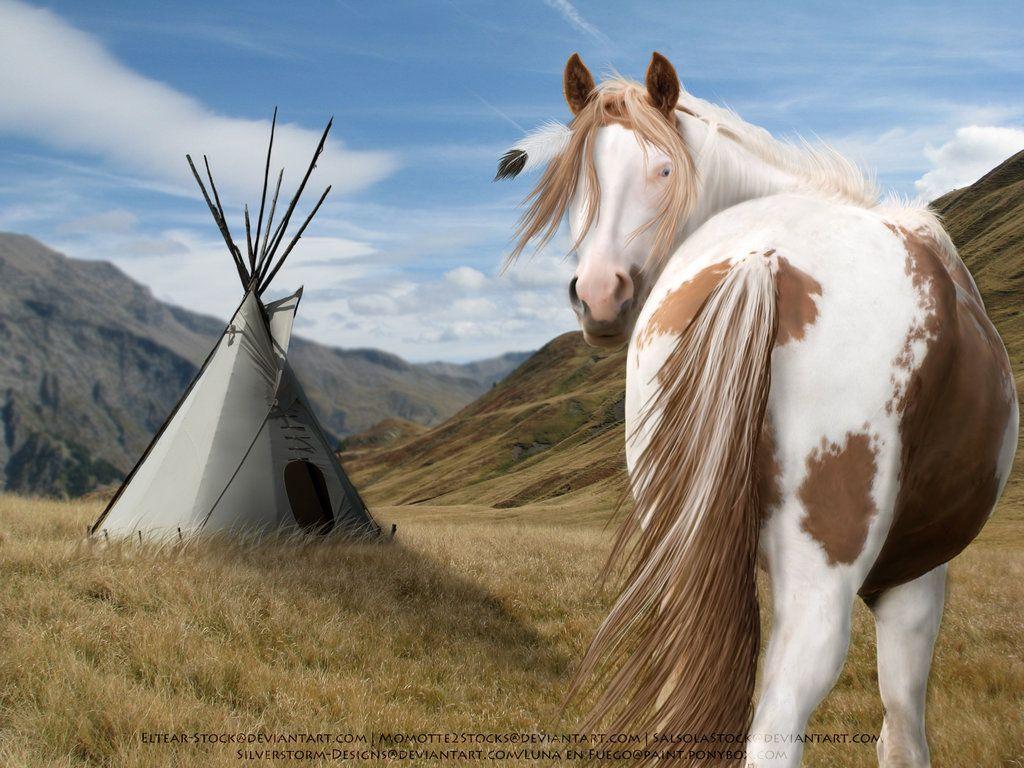 Native American Horse Wallpapers