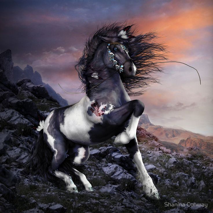 Native American Horse Wallpapers