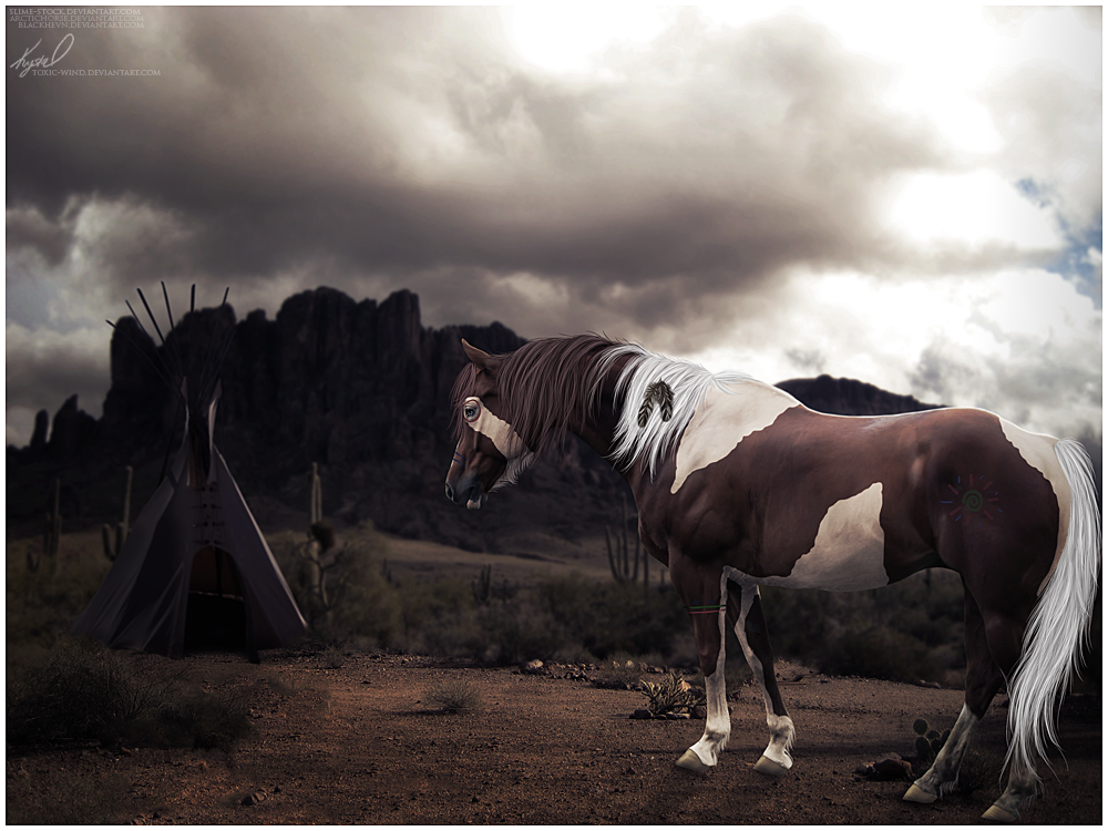 Native American Horse Wallpapers