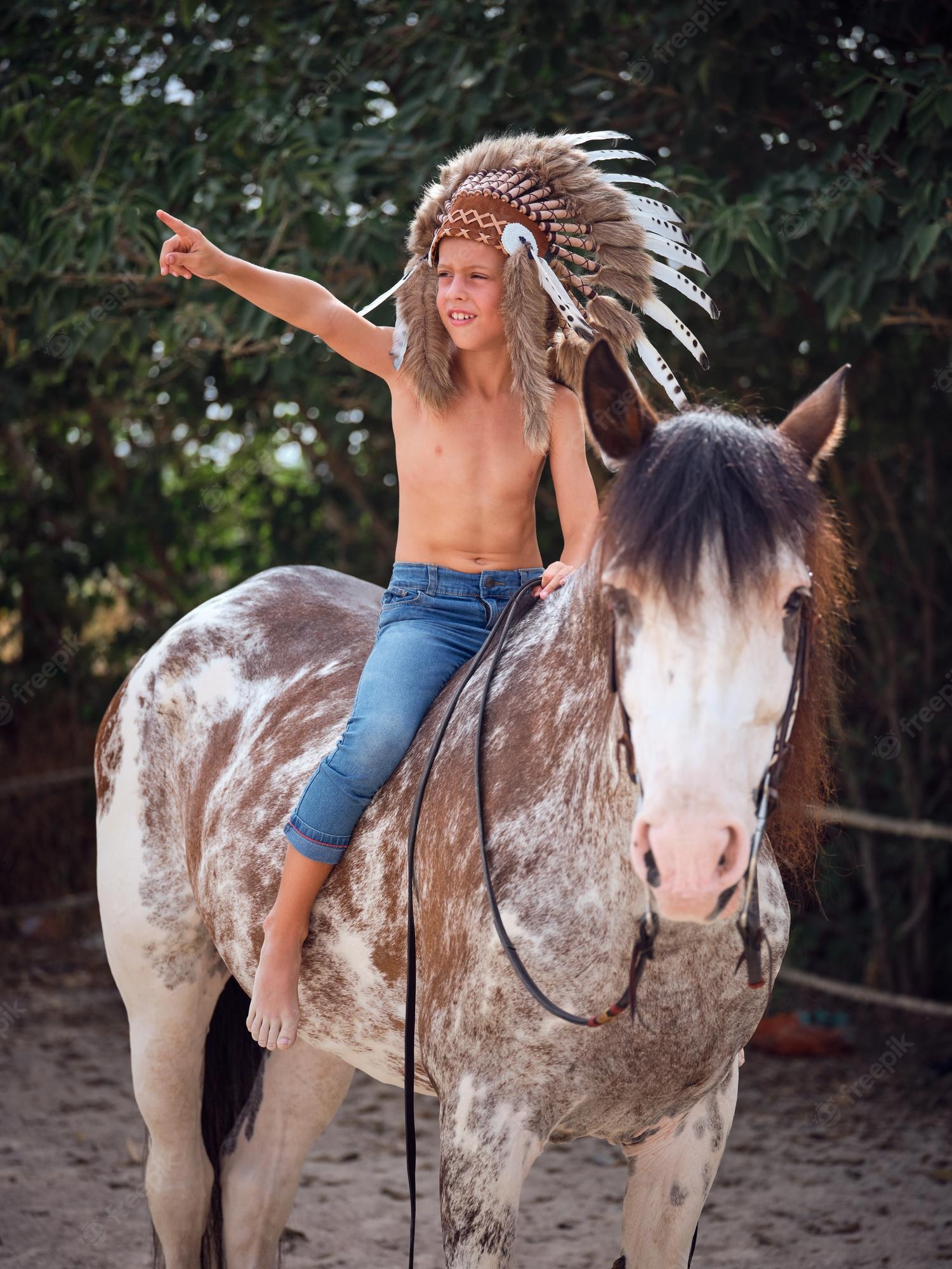 Native American Horse Wallpapers