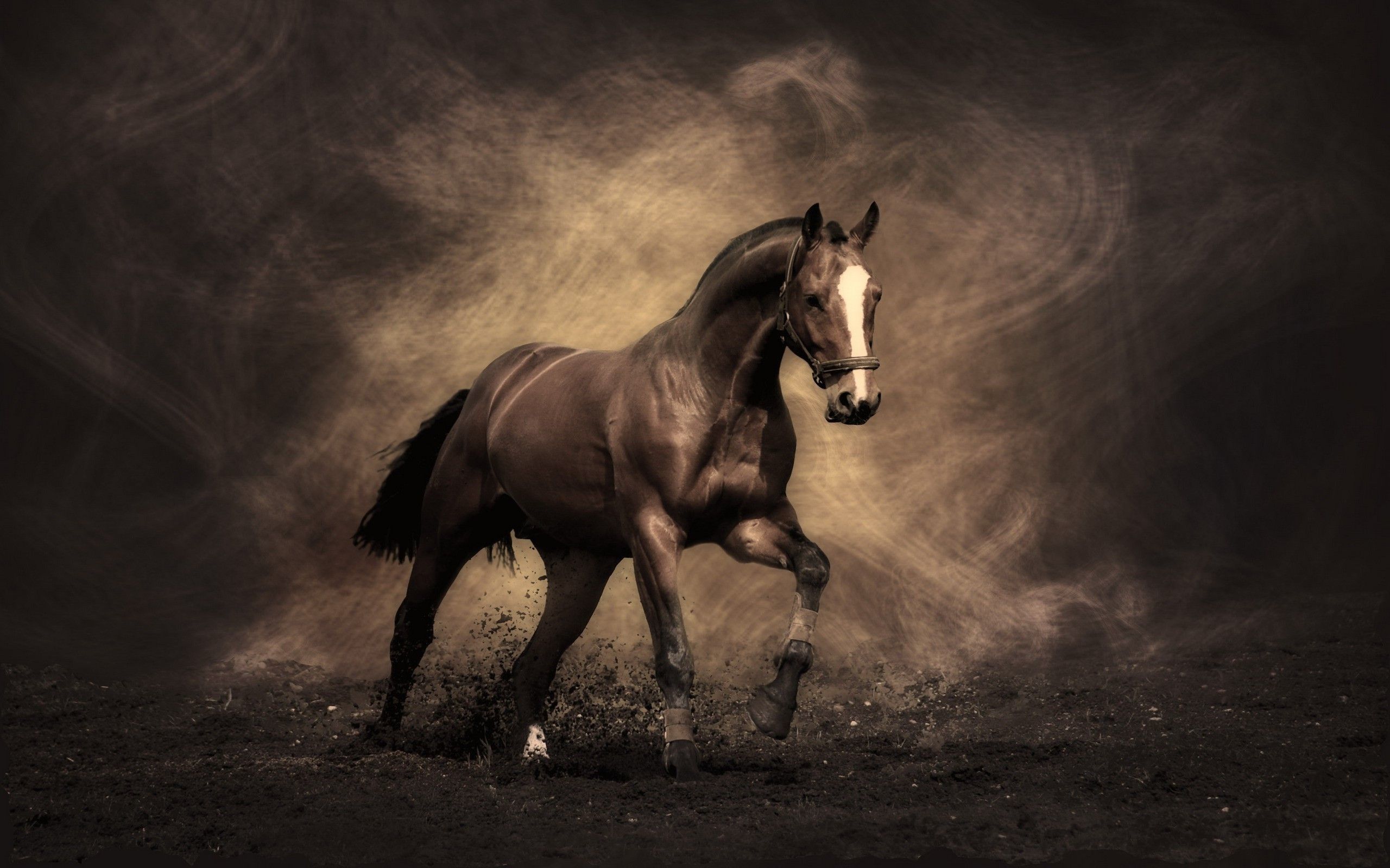 Native American Horse Wallpapers