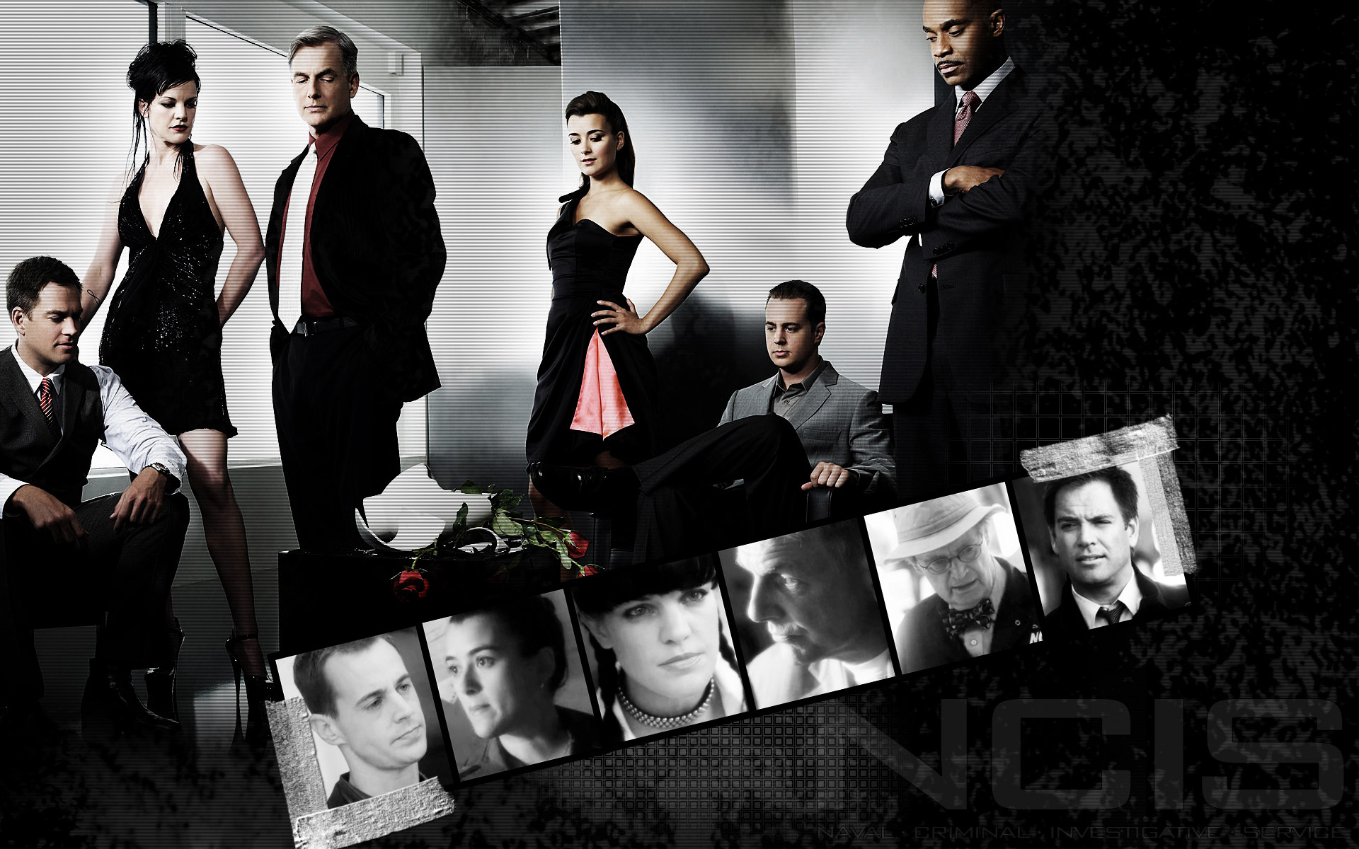 Ncis Gibbs Wallpapers