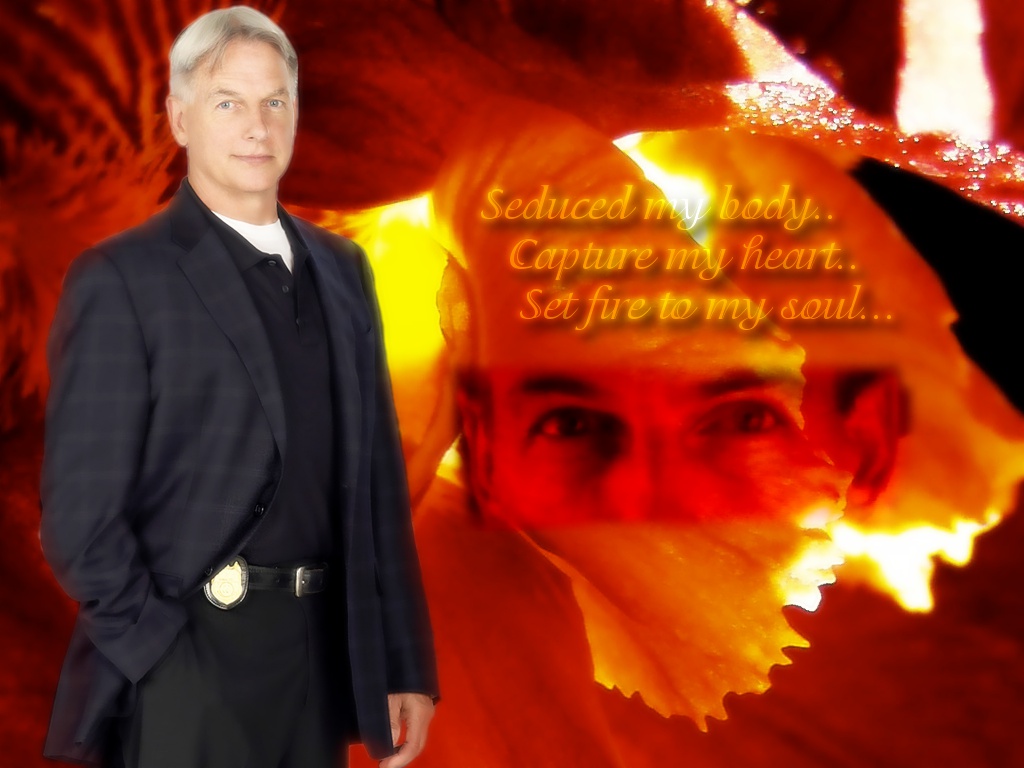 Ncis Gibbs Wallpapers