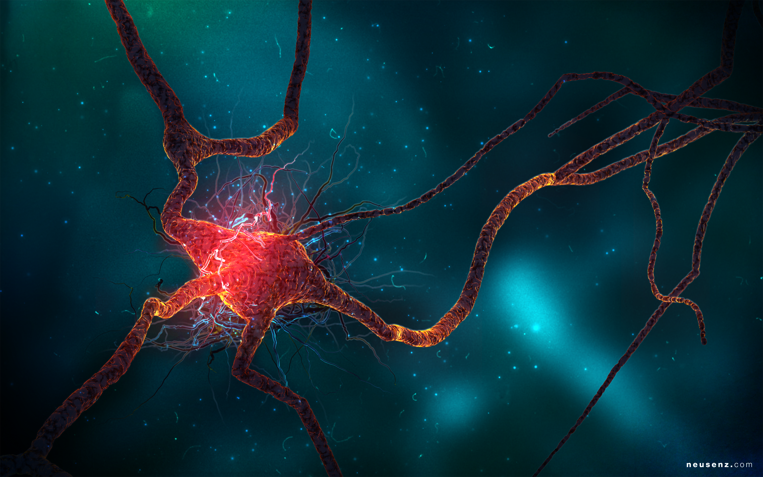 Neuron Wallpapers