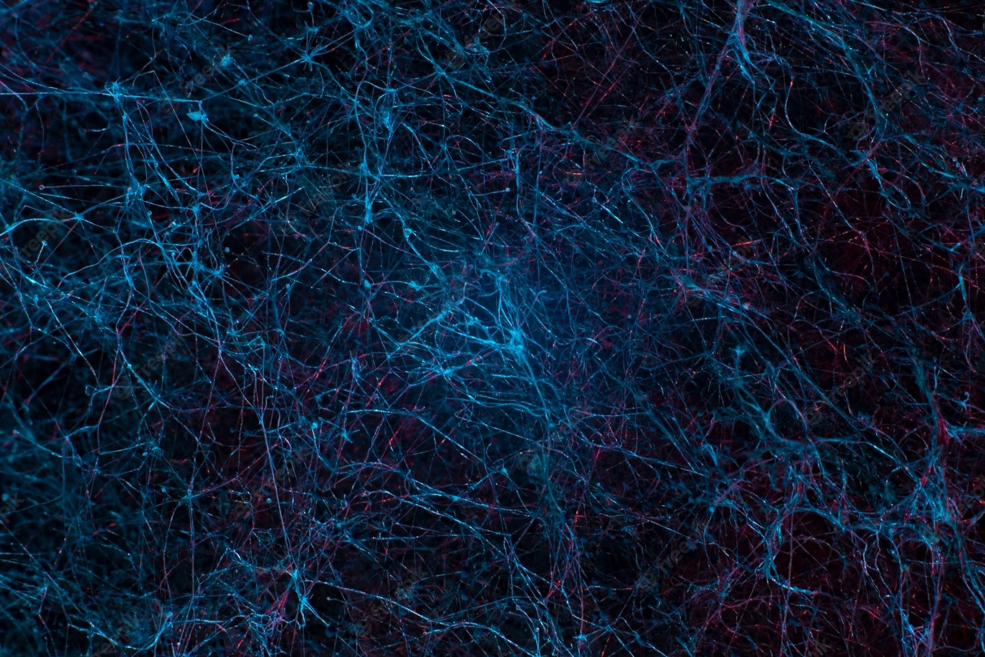 Neuron Wallpapers