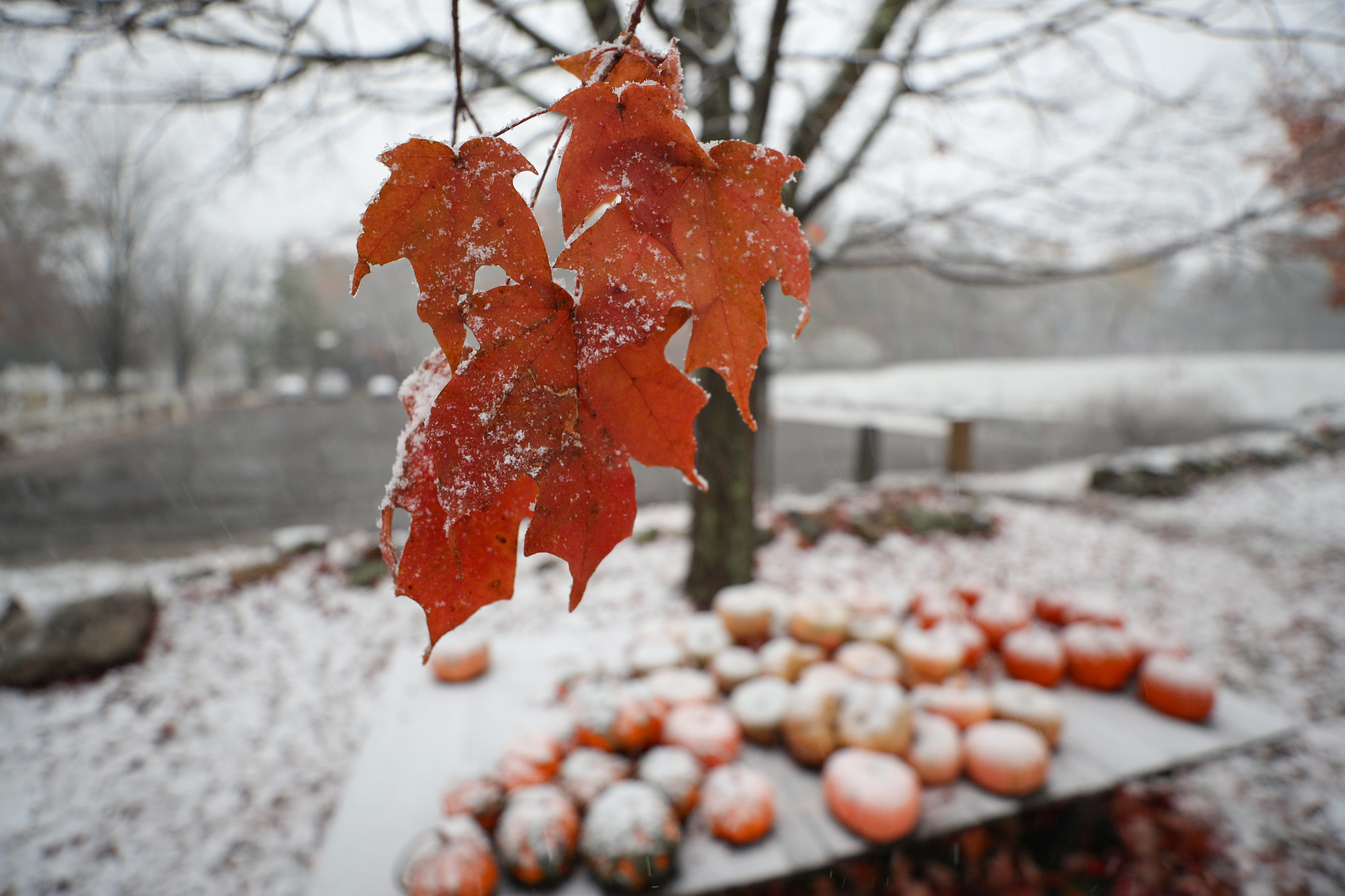 New England Winter Scenes Wallpapers