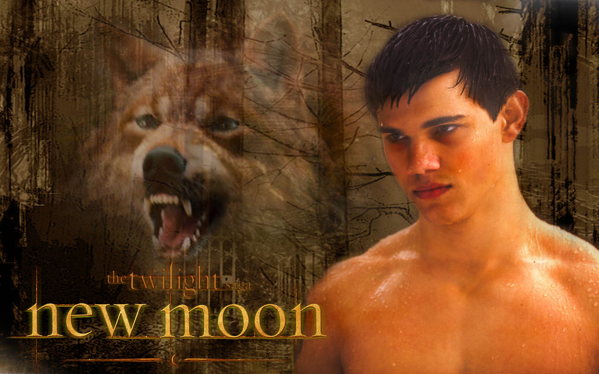 Newmoon Wallpapers