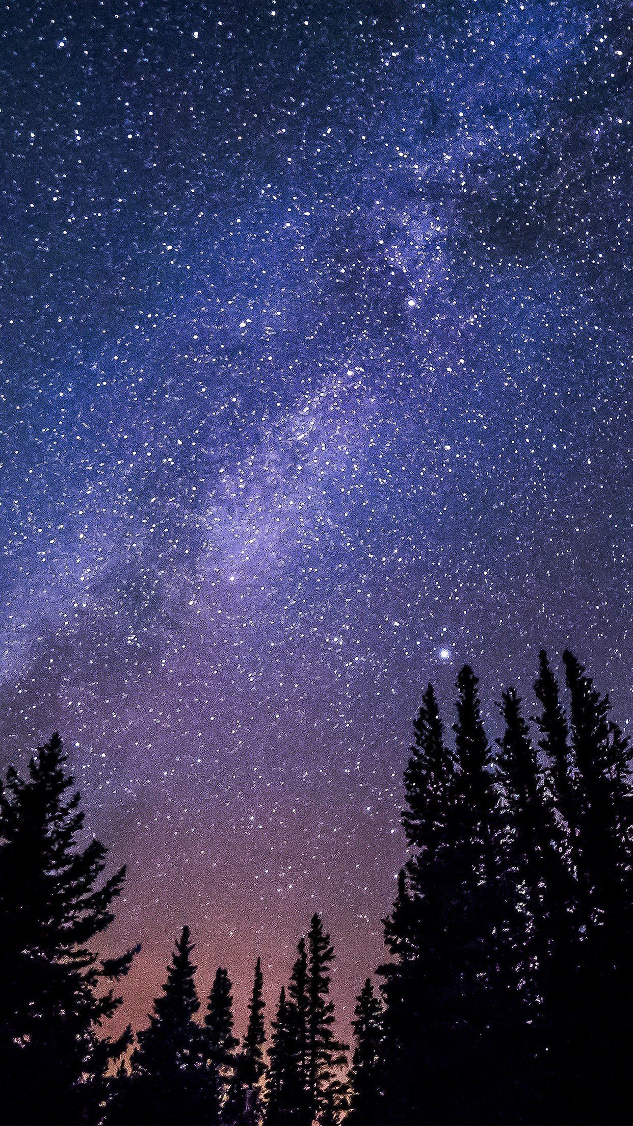 Night Sky Starry Night Wallpapers