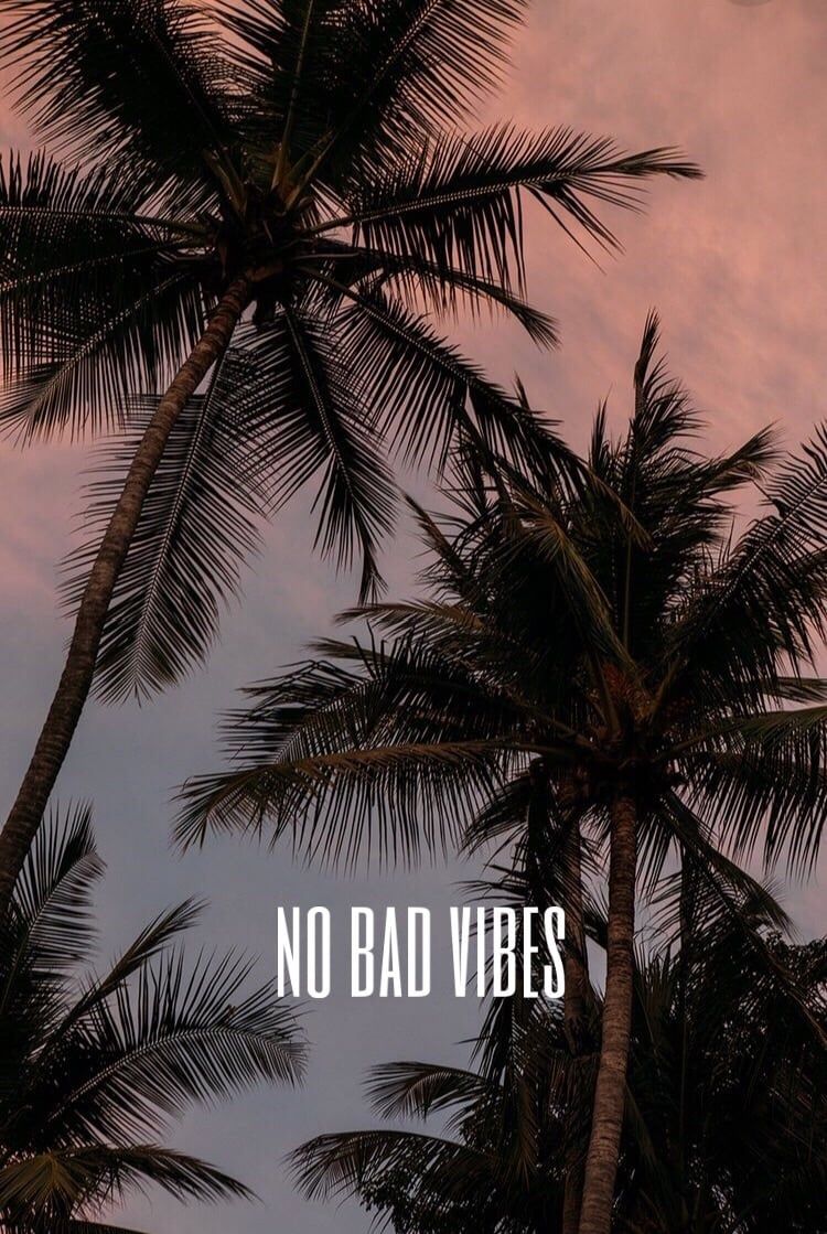 No Bad Vibes Wallpapers