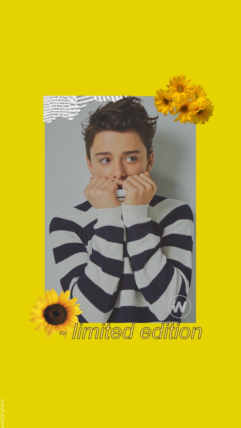 Noah Schnapp Collage Wallpapers