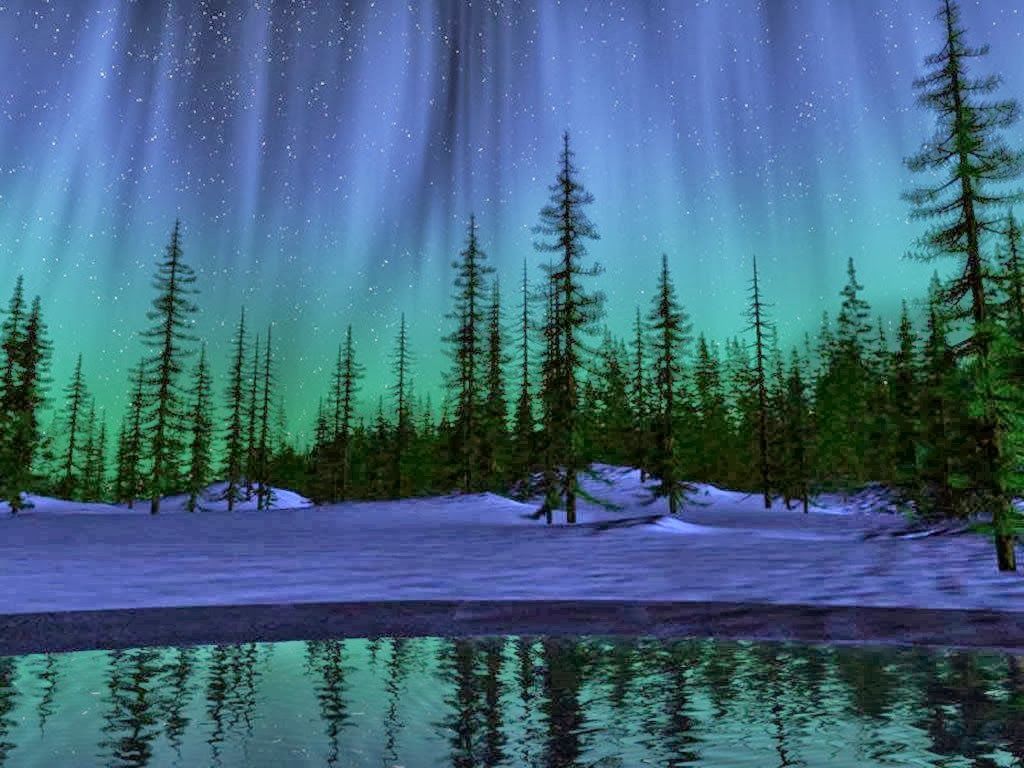 Northern Lights Forest Wallpapers