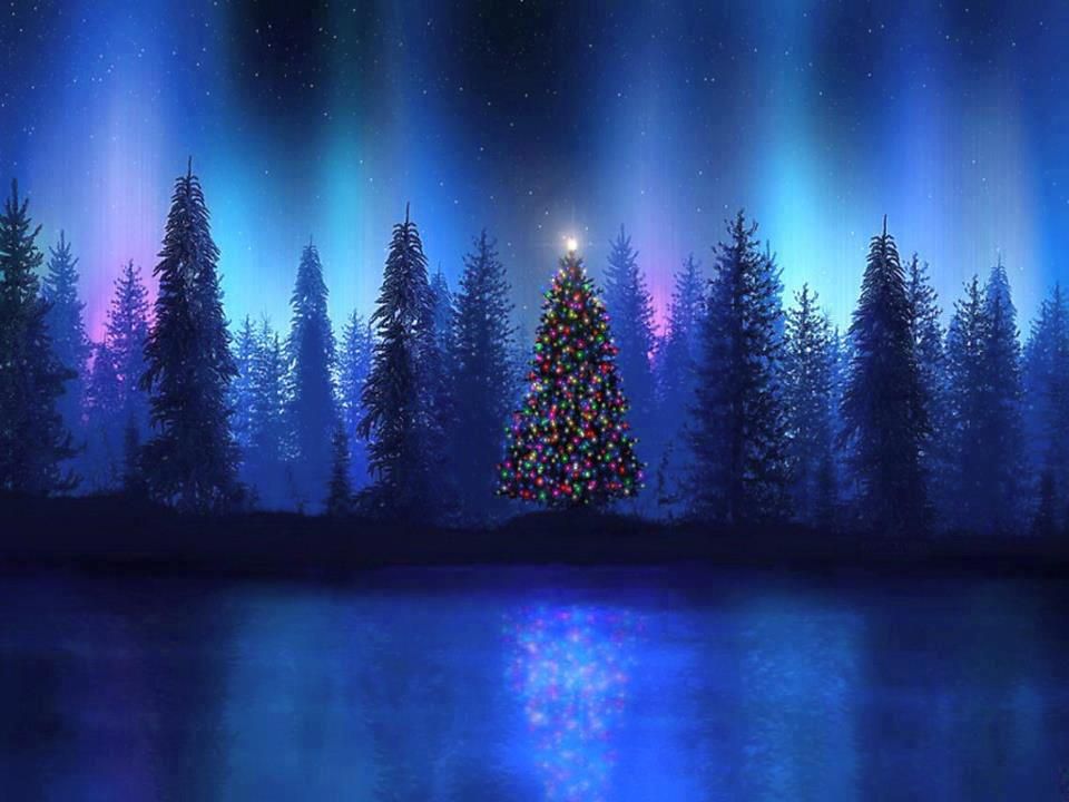 Northern Lights Forest Wallpapers