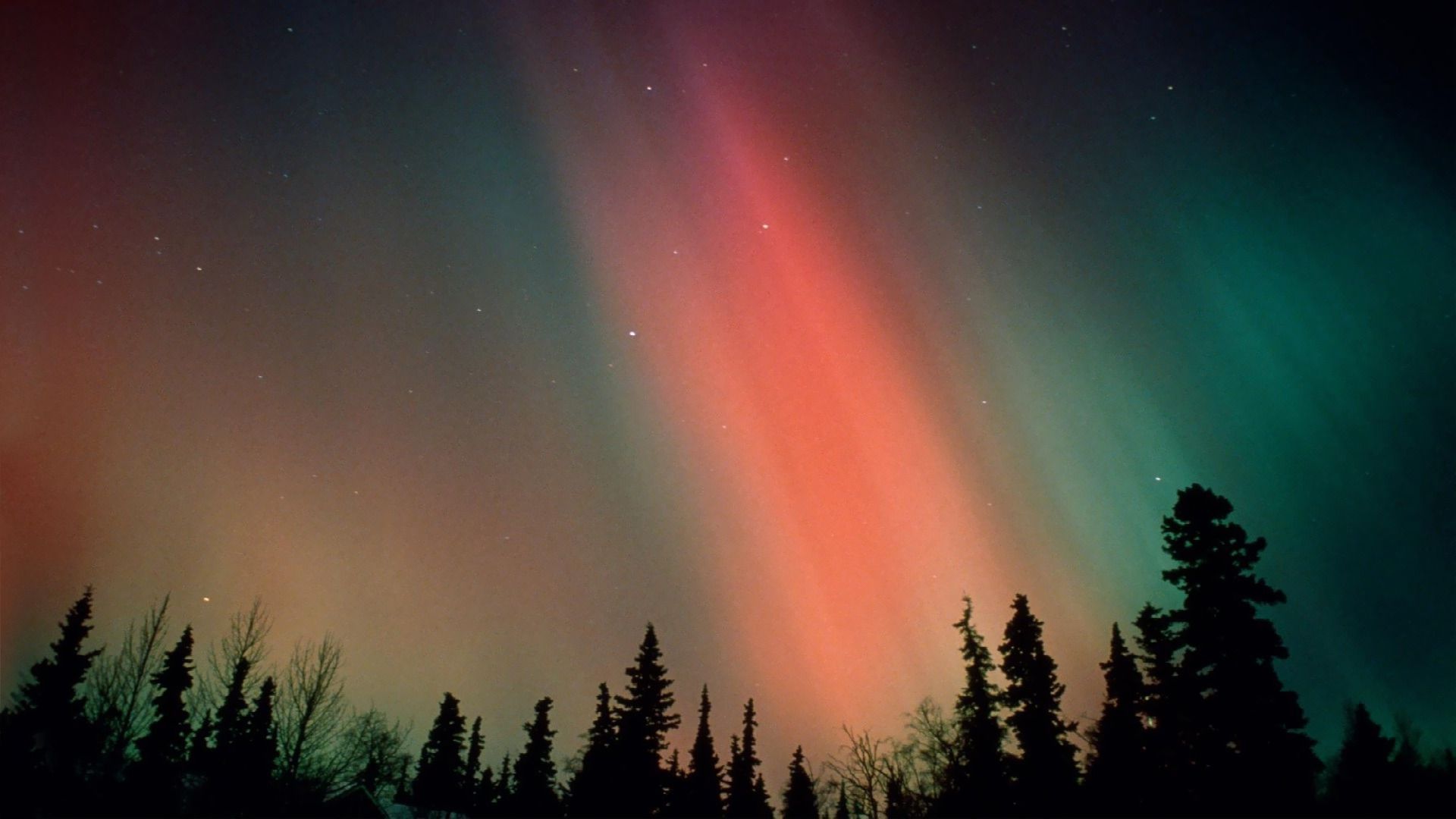 Northern Lights Forest Wallpapers