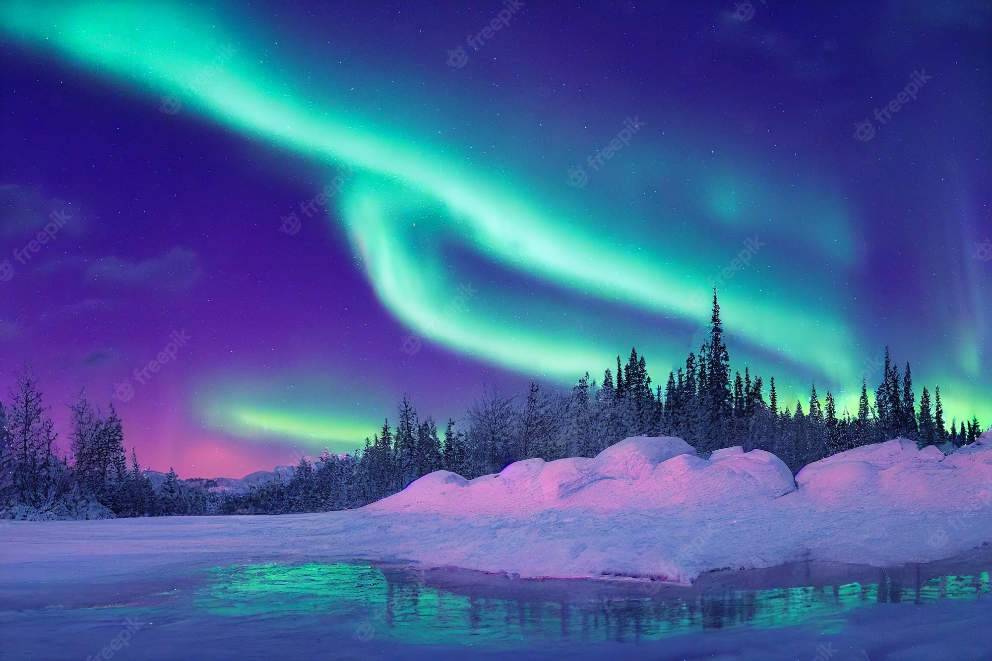 Northern Lights Forest Wallpapers