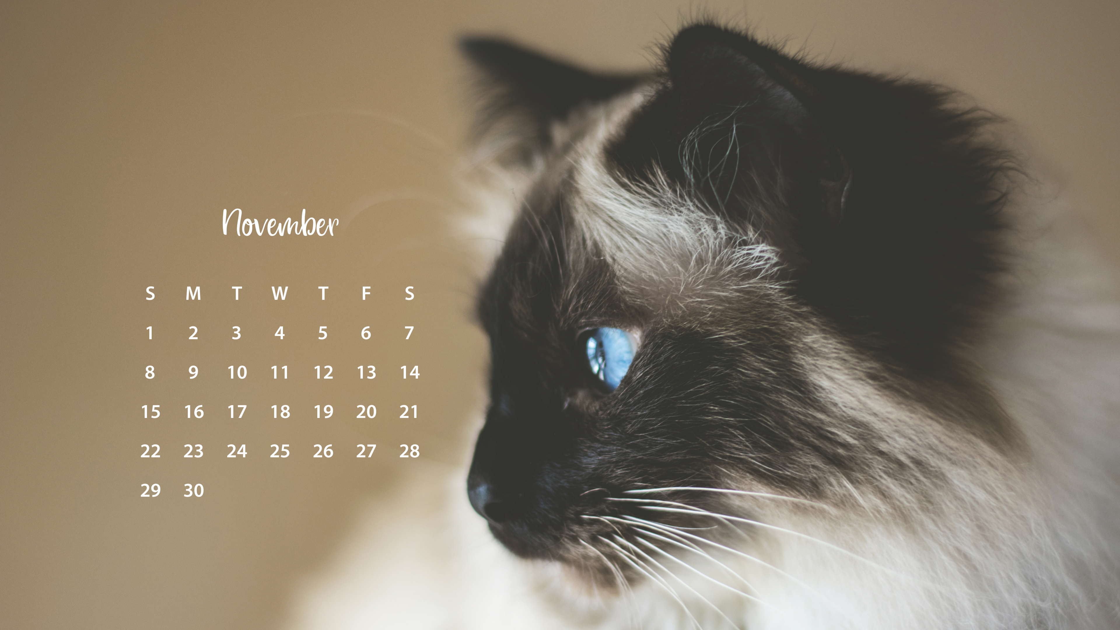 November 2020 Calendar Wallpapers