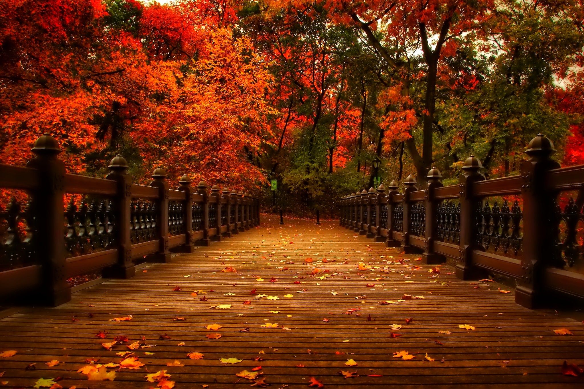 November Nature Pictures Wallpapers