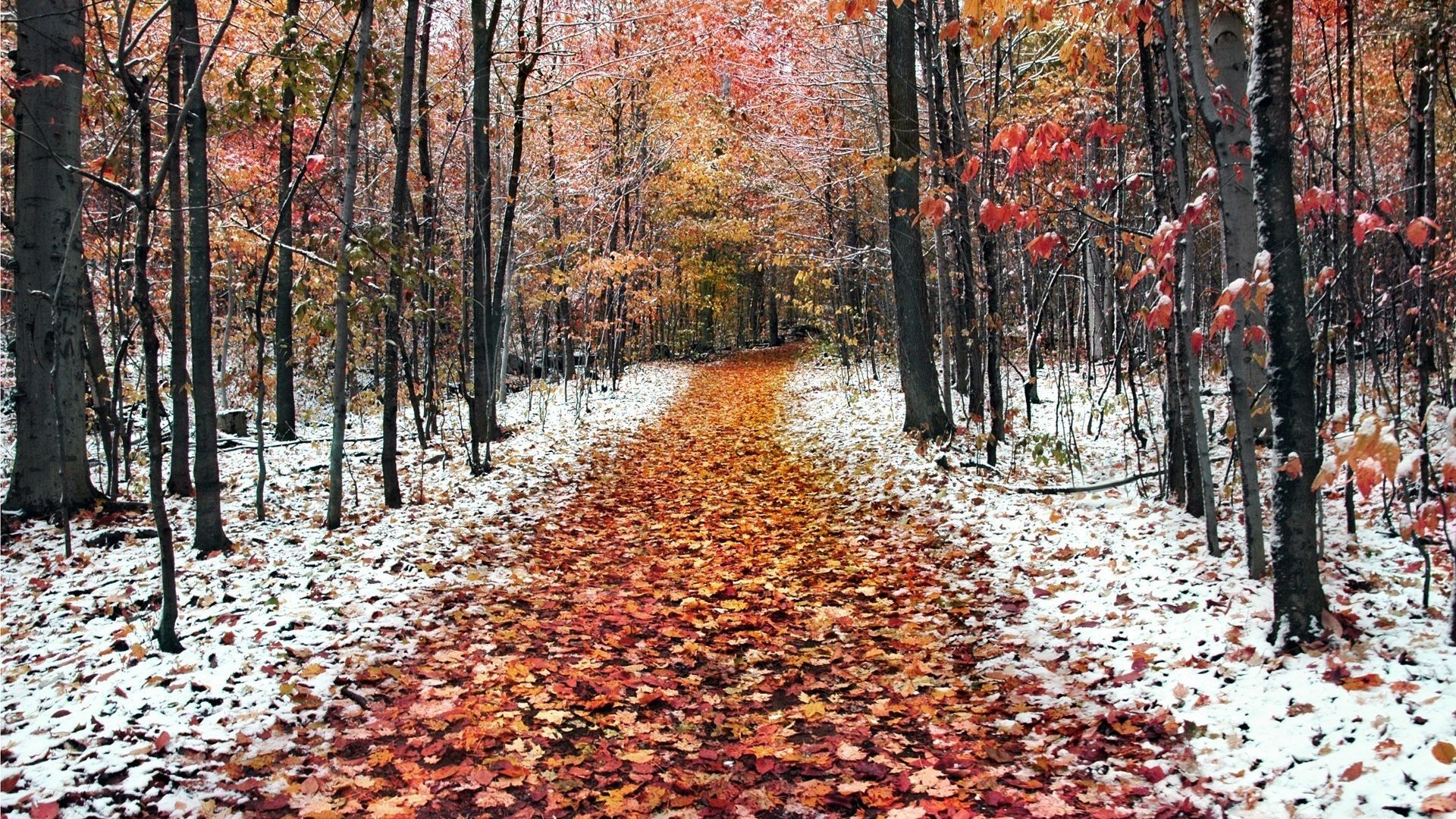 November Nature Pictures Wallpapers