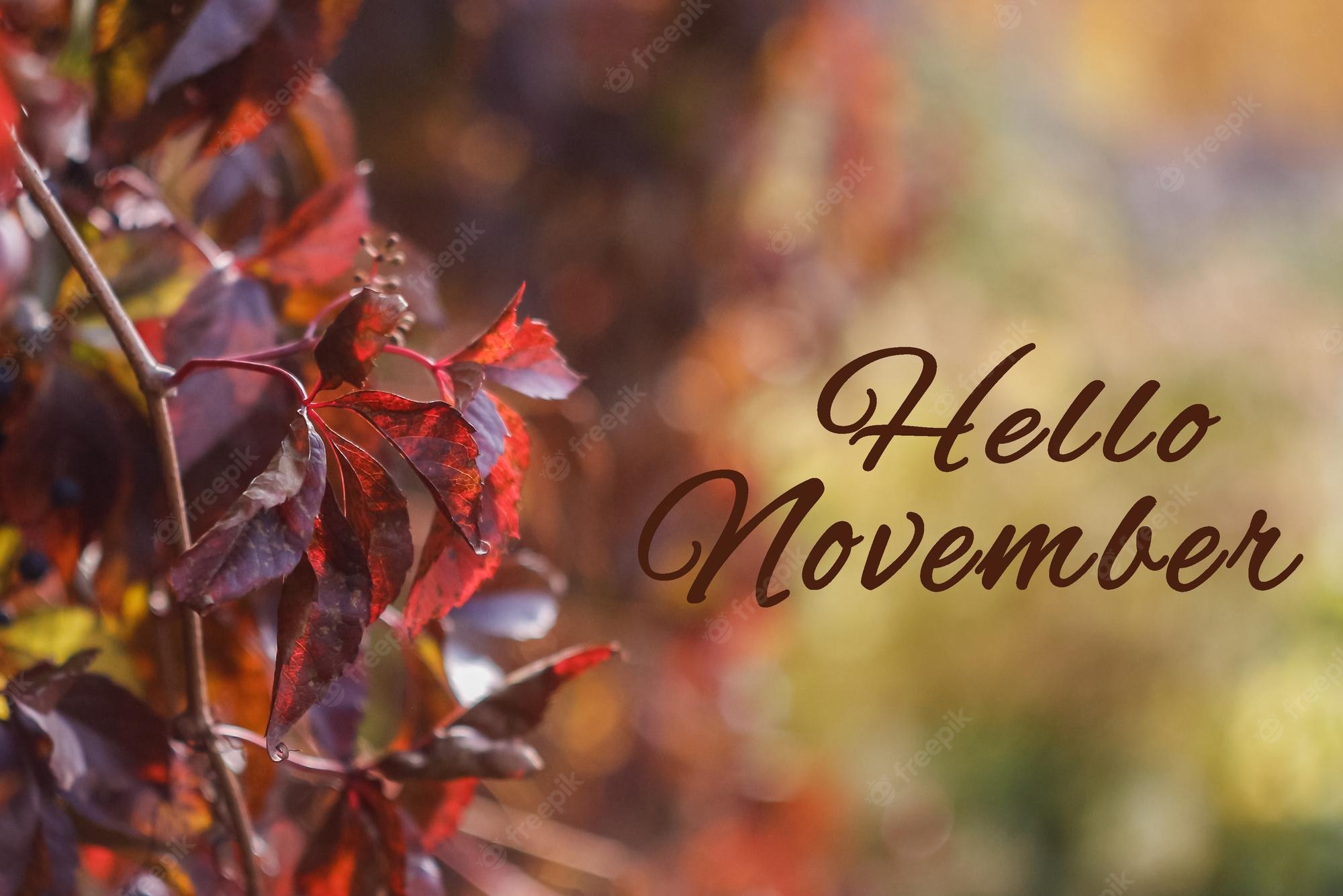 November Nature Pictures Wallpapers