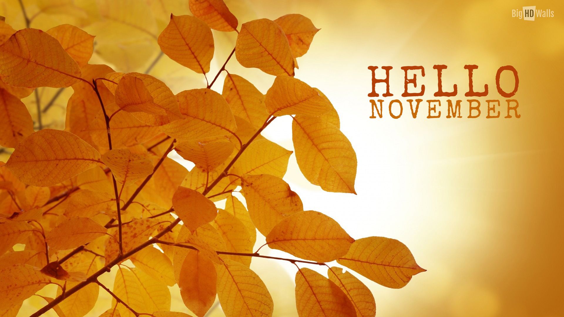 November Screensavers Free Wallpapers