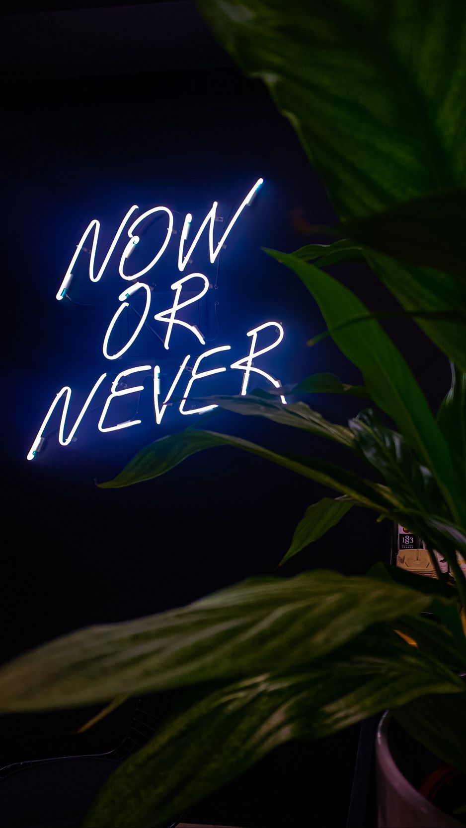 Now Or Never Wallpapers