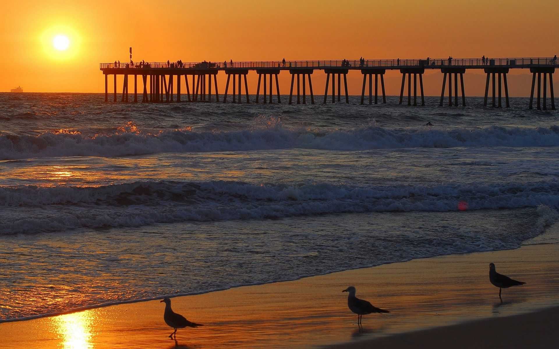 Ocean Boardwalk Wallpapers