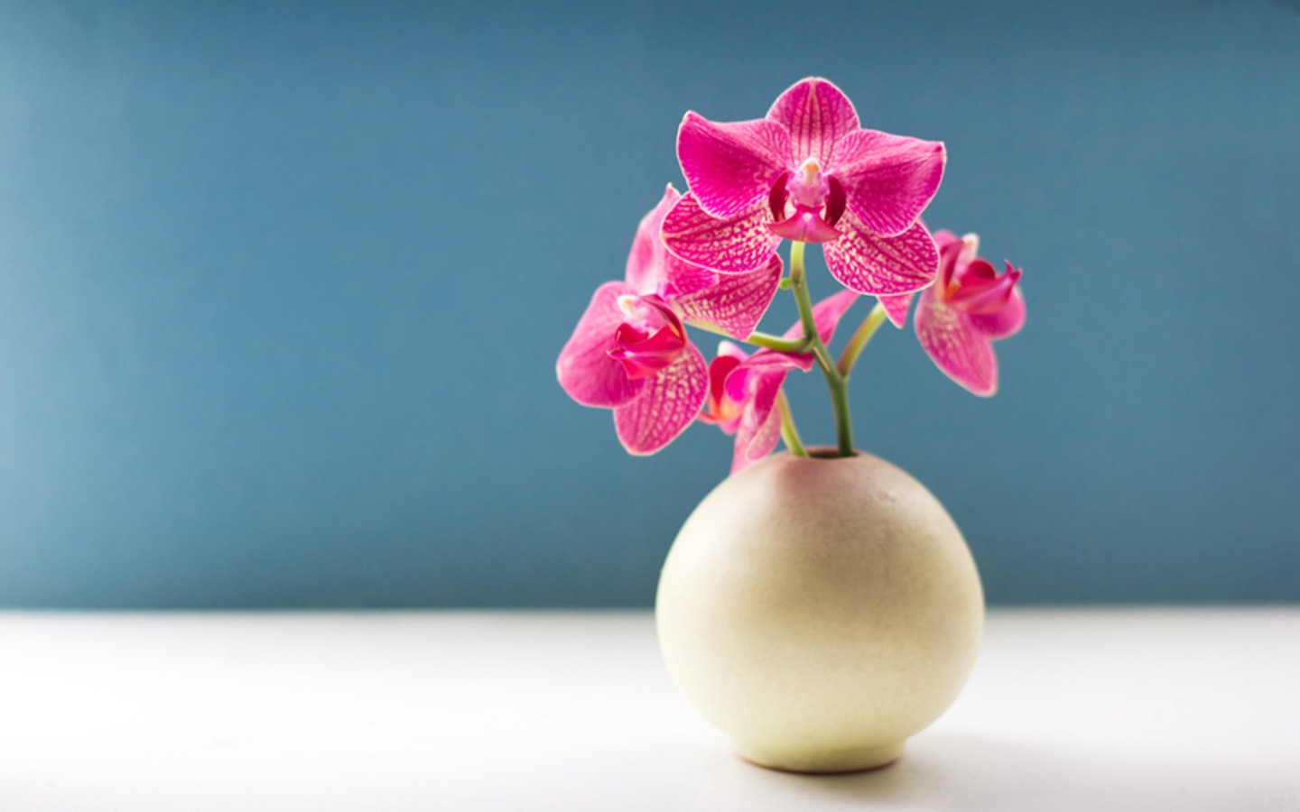 Orchid Desktop Wallpapers