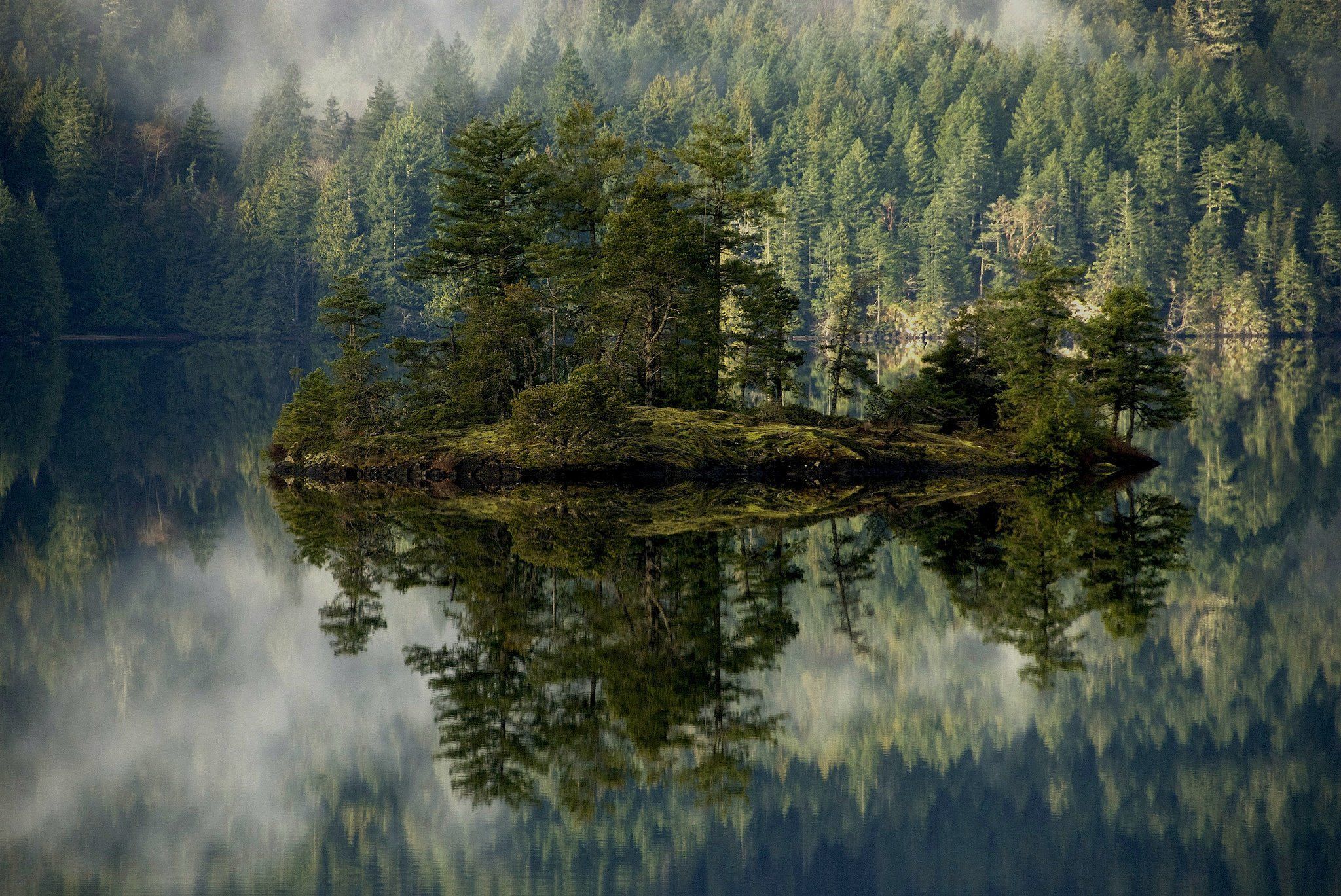 Oregon Forest Wallpapers