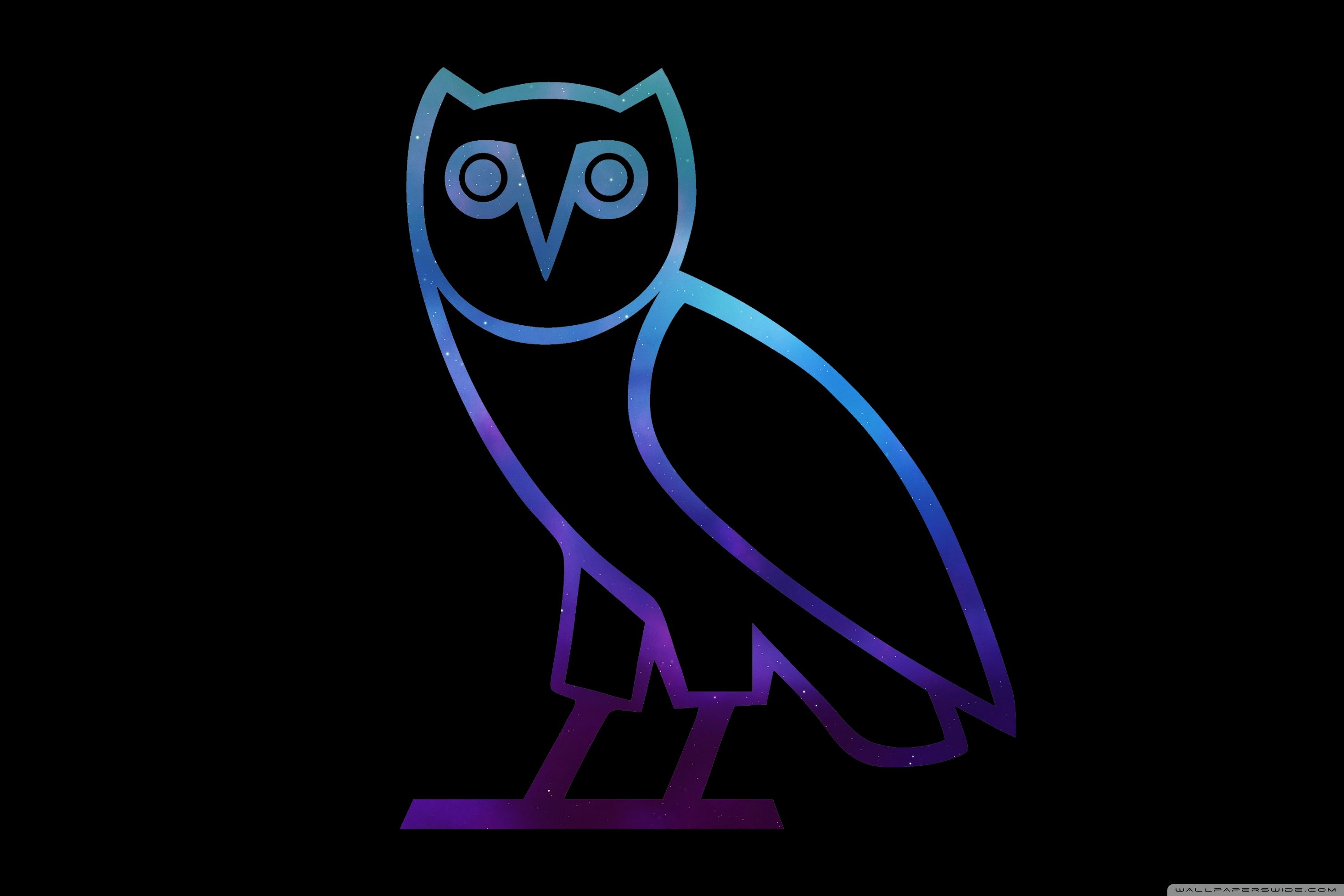 Ovo Owl Wallpapers