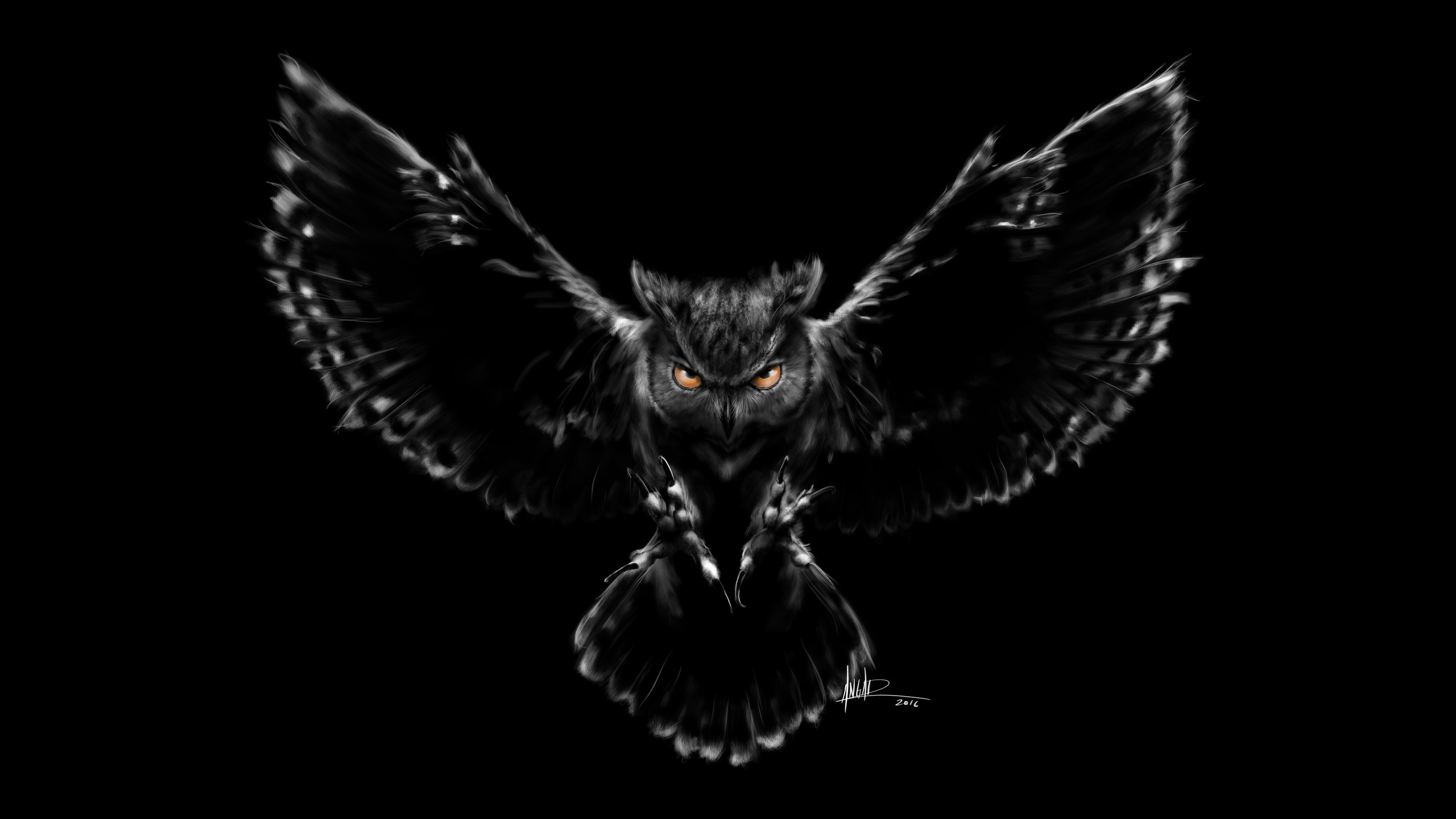 Owl Phone Wallpapers