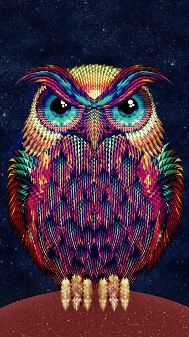 Owl Phone Wallpapers